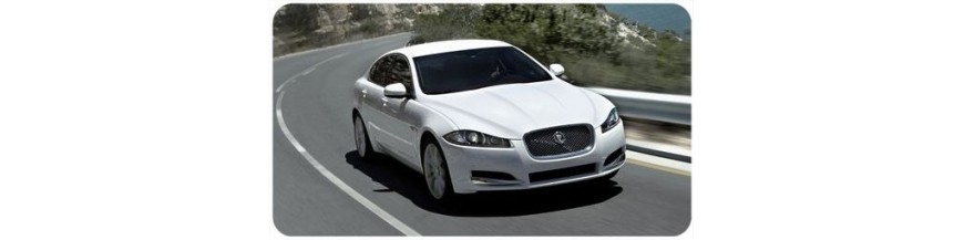 Vídeo en movimiento