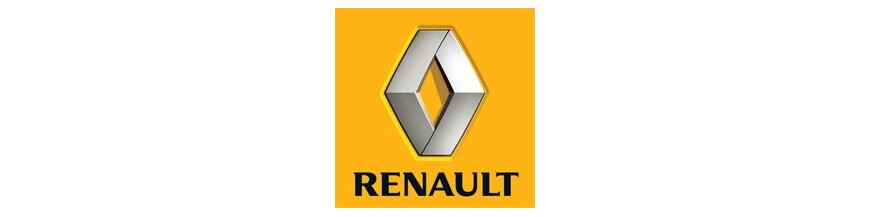 Cámaras Traseras Renault | Instalación Cámaras Madrid ▷Parking líneas guía ✔