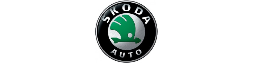Accesorios Multimedia coche Skoda ✅ Autorradios en Madrid Skoda ✅